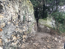IMG 0818