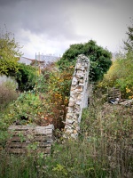 P1003966