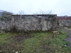 DSC03924