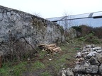DSC03926