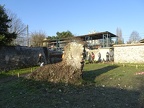 DSC03929