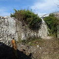 DSC03943