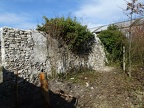 DSC03943