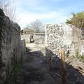 DSC03945