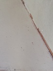 IMG 20250703 121356