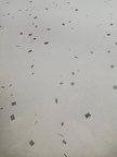 IMG 20250717 171834