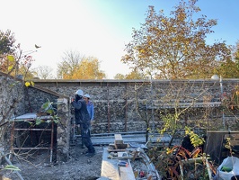 IMG 7553
